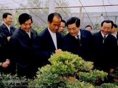 常年出產花卉,苗木種子,自產自銷_農副產品