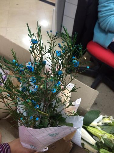 這種藍(lán)綠色小花,葉子像迷迭香一樣的花是什么名字 朋友從昆明空運(yùn)弄來(lái)的鮮花,求教