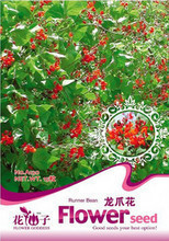 【龍爪花種子】最新最全龍爪花種子 產品參考信息