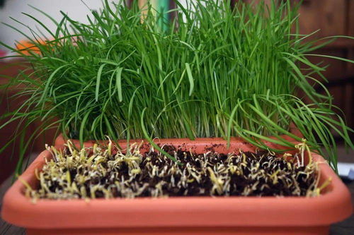 她力量 在大運河畔 有這么一群 巧娘