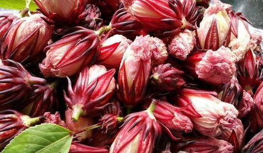 女人愛美 ,常吃四種食物,排毒養顏,調理腸胃,好處多多