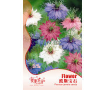 波斯菊花種子產品信息