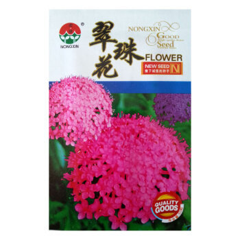 花卉種子 翠珠花種子 花壇花卉 陽臺盆栽 混色 鮮艷奪目 50粒/包【圖片 價格 品牌 報價】-京東
