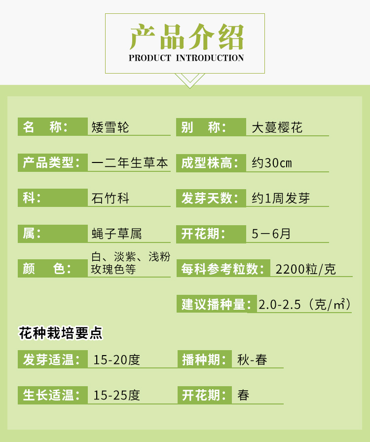 矮雪輪種子大蔓櫻花地被花壇家庭院盆栽春播花卉花種子植物種子