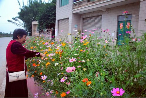 瀘縣石橋鎮(zhèn) 三改三提升 鄉(xiāng)村景色美出新高度