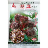 我要發芽 花卉種子 紅蓖麻種子 多年生觀賞蓖麻 春播 庭院種植 100克/包怎么樣|好不好|如何-蘇寧易購