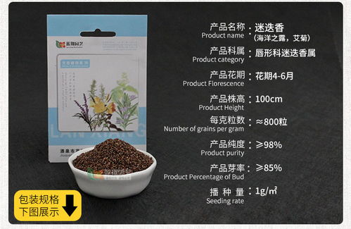 進口花卉種子 觀賞花種子 迷迭香種子 花卉種子 四季易種花種子