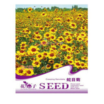 藍憶 菊類系列種子室內盆栽花卉植物種子多種 彩包種子 15蛇目菊30?！緢D片 價格 品牌 報價】-京東