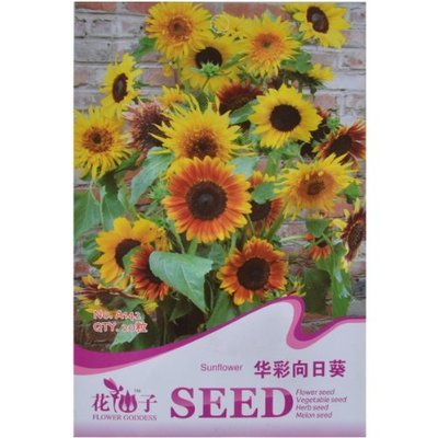 津沽園藝 花仙子系列 華彩向日葵 花卉種子 花種子 向日葵種子 易栽好活 1包:亞馬遜:家居裝修