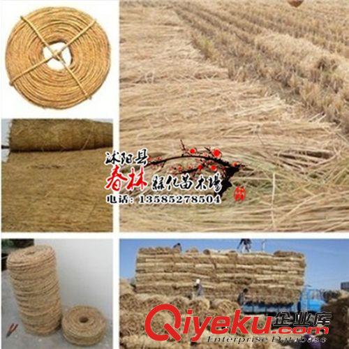 批發(fā)園藝稻草繩子 捆綁繩 打草繩 苗木及工廠產(chǎn)品包扎與防護-沭陽縣春林綠化苗木場提供批發(fā)園藝稻草繩子 捆綁繩 打草繩 苗木及工廠產(chǎn)品包扎與防護的相關介紹、產(chǎn)品、服務、圖片、價格沭陽縣春林綠化苗木場、綠化苗木;花木;盆景;花卉;草籽;草種;種子;彩色植物;竹類植物;喬木;灌木;攀援植物;草坪