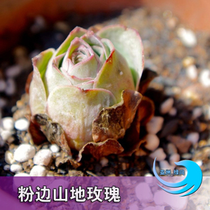 亞洲廚衛營銷中心_德國亞洲營銷中心