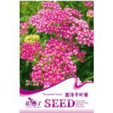 活草 - 所有類別 - 亞馬遜