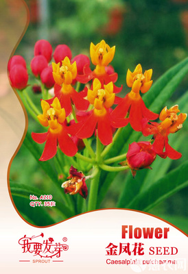 報春花種子 我要發芽 花卉種子 金鳳花種子 馬利筋 蛺蝶花 35粒/包
