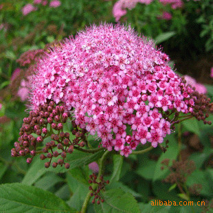 【大河里怎樣捉螞蝗】?jī)r(jià)格、產(chǎn)品供應(yīng),大河里怎樣捉螞蝗廠家批發(fā)-1024商務(wù)網(wǎng)