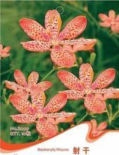 【射干種子】最新最全射干種子 產品參考信息