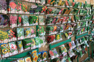 售賣中的花卉蔬菜種子