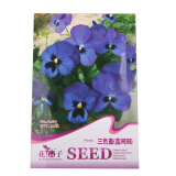 【易拉罐綠植 DIY禮品 辦公室迷你盆栽 蔬菜水果花草種植 熏衣草向日葵種植等 1薄荷 易拉罐和【景逸麗都】園藝休閑 家庭陽臺辦公室盆栽種植 花卉種子 可開花種子 三色堇(藍間斑)哪個好】易拉罐綠植 DIY禮品 辦公室迷你盆栽 蔬菜水果花草種植 熏衣草向日葵種植等 1薄荷 易拉罐和【景逸麗都】園藝休閑 家庭陽臺辦公室盆栽種植 花卉種子 可開花種子 三色堇(藍間斑)有什么區別-商品比較-