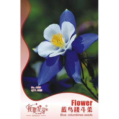 【我要發芽園藝休閑旗艦店】我要發芽 花卉種子 藍鳥耬斗菜種子 藍漏斗菜 夜鶯 漏斗菜 適宜作花壇 花境 盆栽及切花 55粒/包 -蘇寧易購