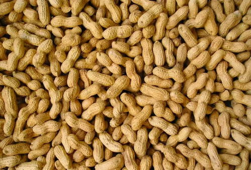 秋天遇見 好吃的 榮成