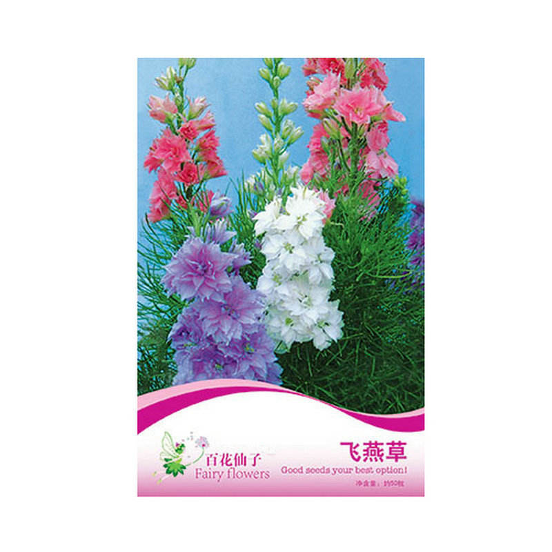 廠家供應 飛燕草種子 陽臺盆栽四季種植花卉種子 百花仙子花卉