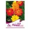 菊類系列種子室內盆栽花卉植物種子多種 彩包種子 2金盞菊50粒【圖片 價格 品牌 報價】-京東