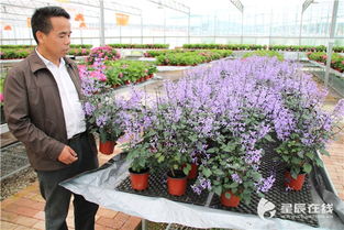 蓮花漫谷 三 未來中部最大花卉展廳在這里 一千種花等你來辨臉