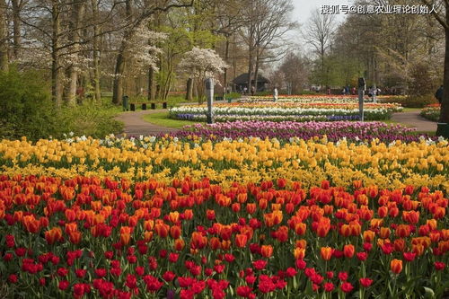 鮮花經濟開出新 花 樣