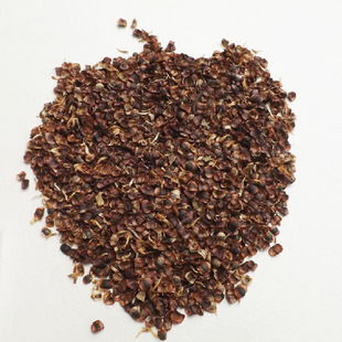 金雞菊花卉種子新彩金雞菊種子芳香花卉優(yōu)質(zhì)金雞菊種子