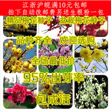【耐寒梅花】最新最全耐寒梅花 產(chǎn)品參考信息