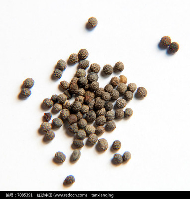 花卉種子 花菱草種子的識別與種植指南