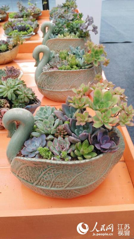 江蘇沭陽花木節盛大開幕 精品盆景花卉與種子共展產業新貌